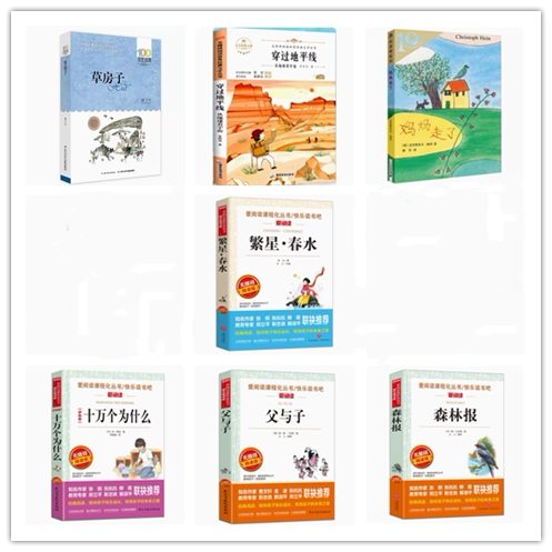 小学生四年级下册全寒假期阅读 穿过地平线 草房子百年百部妈妈走了父与子森林报繁星春水