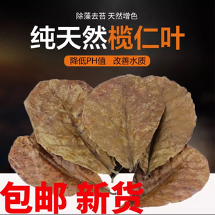 斗鱼榄仁叶鱼缸懒人调节ph值降低水族降碱性调节剂乌龟酸碱调节