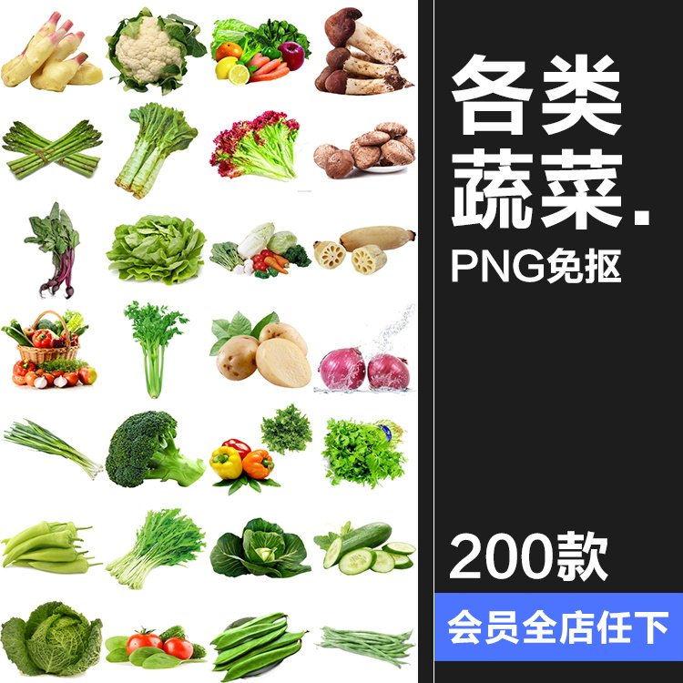 蔬菜白菜马铃薯青菜西红柿胡萝卜洋葱芹菜辣青椒PNG免抠图片素材,商务/设计服务,设计素材/源文件,淘宝优惠券,粉丝福利购,淘宝优惠卷
