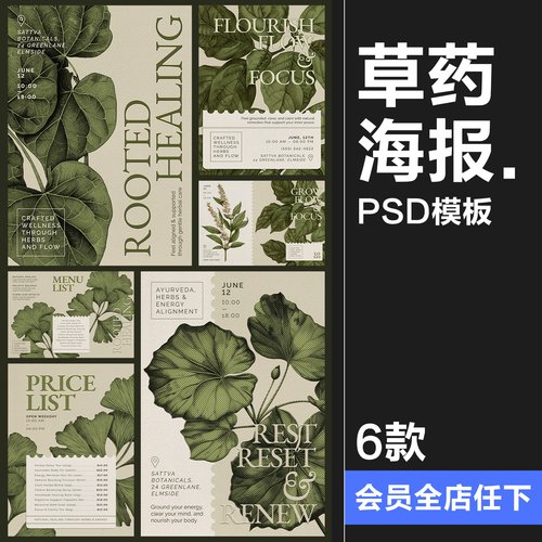 文艺中药草药手绘植物叶子海报广告版式排版宣传单PSD模板ps素材
