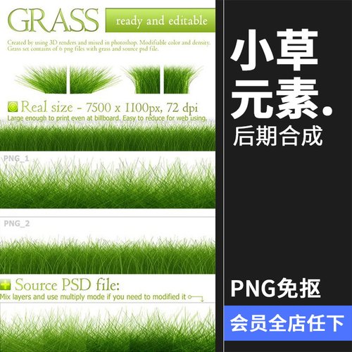 茂盛绿色草地茂密小草元素PNG免抠透明底装饰元素图片PS设计素材