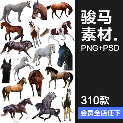 马图片飞马草原马骏马奔跑站立广告宣传海报高清图片PNG免抠素材