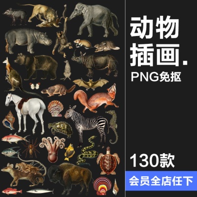 复古手绘哺乳爬行动物昆虫海洋生物插画艺术拼贴PNG免抠剪贴素材