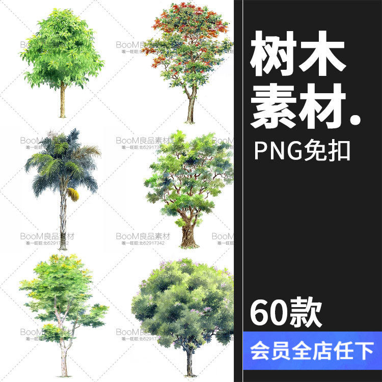 真实独立树木绿植绿化树合成高清图片png免抠透明背景ps设计素材