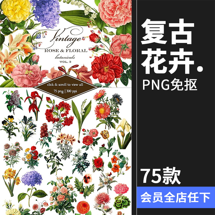 美式复古手绘鲜花植物花卉图案插画装饰PNG免抠高清图片PS素材图片