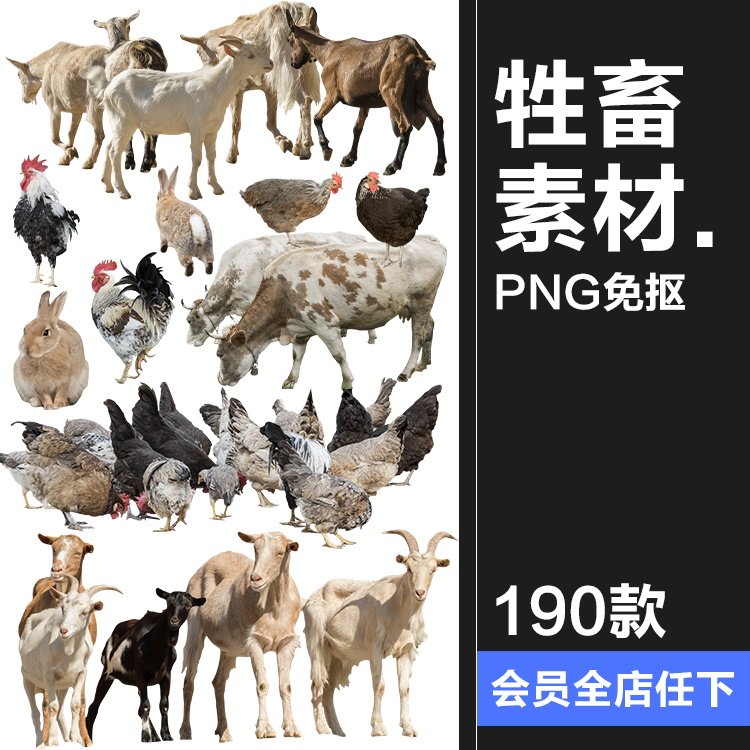 羊鸡兔公鸡母鸡山羊牛牲畜农场场景装饰元素后期合成png图片素材