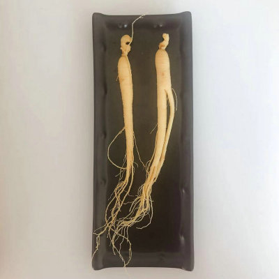 保鲜白参煲汤泡酒包邮长白山人参