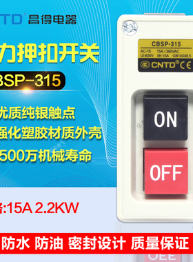 CNTD 昌得 动力压扣开关 扣押开关 机床开关 15A CBSP-315