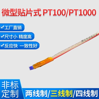 铂热电阻PT100温度传感器裸露式贴片表面测温小体积高精度反应快