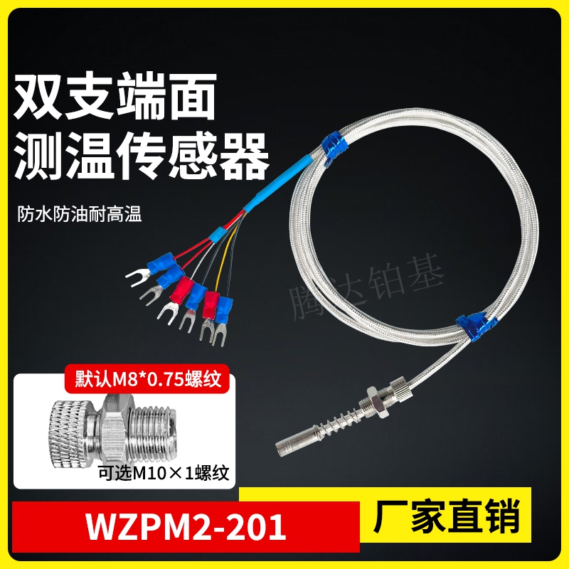 WZPM2-201端面热电阻双支铂热电阻电机测温探头PT100热电阻轴承测