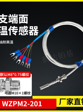 WZPM2-201端面热电阻双支铂热电阻电机测温探头PT100热电阻轴承测