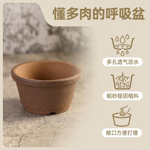 精选紫砂手工柴烧透气养根多肉绿植盆栽微型花盆掌中宝培植盆6#