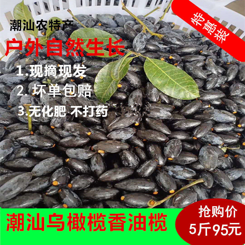 新鲜乌榄黑橄榄正宗潮汕特产香乌榄油橄榄长粒油橄榄新鲜乌橄榄