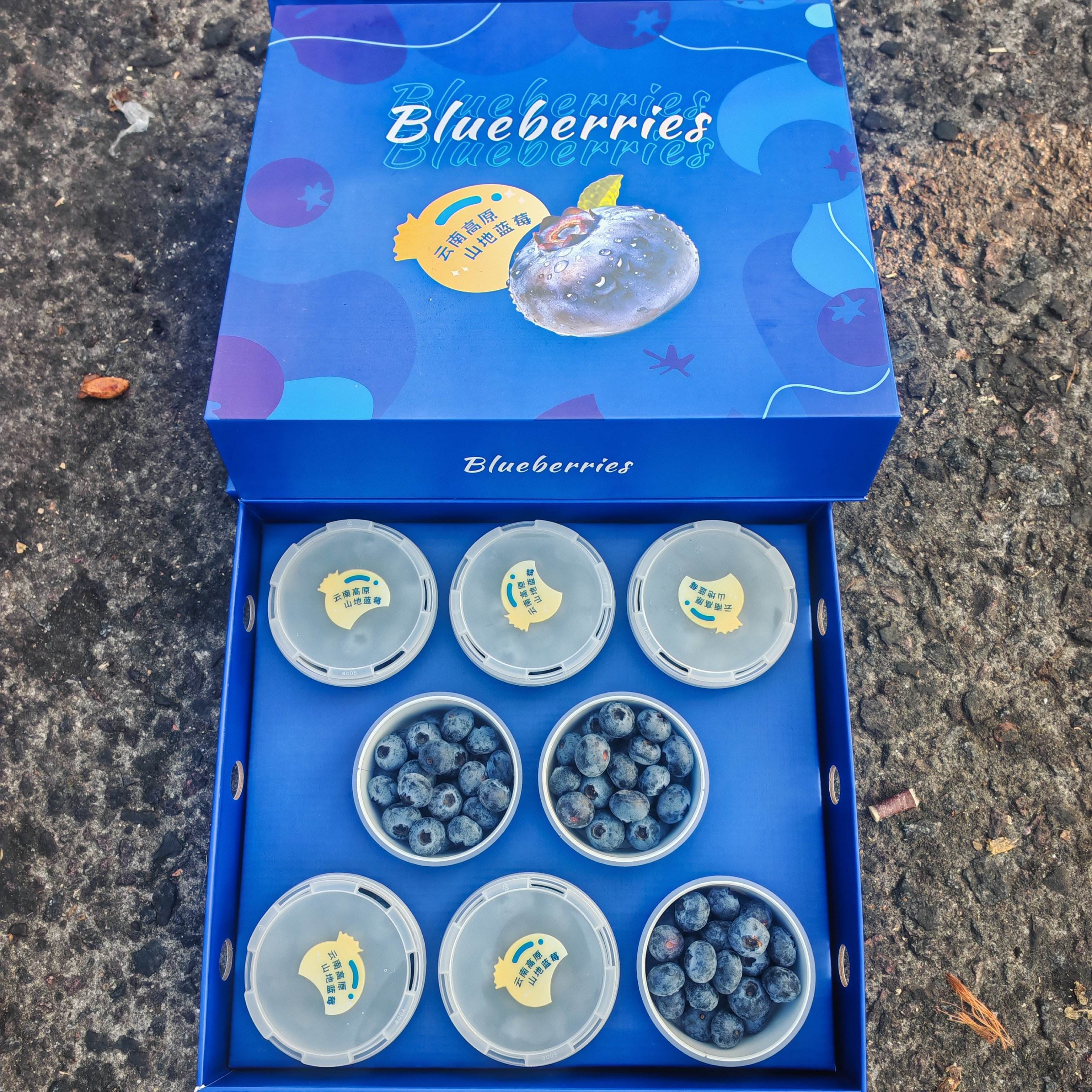 （礼盒）高山纯甜脆皮蓝莓当季新鲜孕妇老人学生儿童吃爱眼蓝莓,水产肉类/新鲜蔬果/熟食,蓝莓,淘宝优惠券,粉丝福利购,淘宝优惠卷