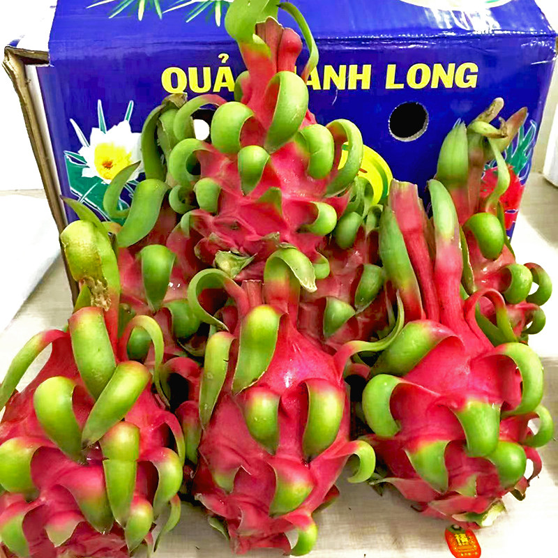 顺丰包邮越南红心火龙果整箱新鲜