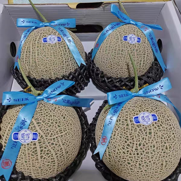 （广州发货）觅雪玫珑蜜瓜静冈网纹瓜哈密瓜甜蜜瓜当季新鲜水果