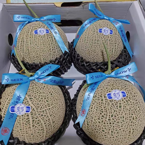 （广州发货）觅雪玫珑蜜瓜静冈网纹瓜哈密瓜甜蜜瓜当季新鲜水果