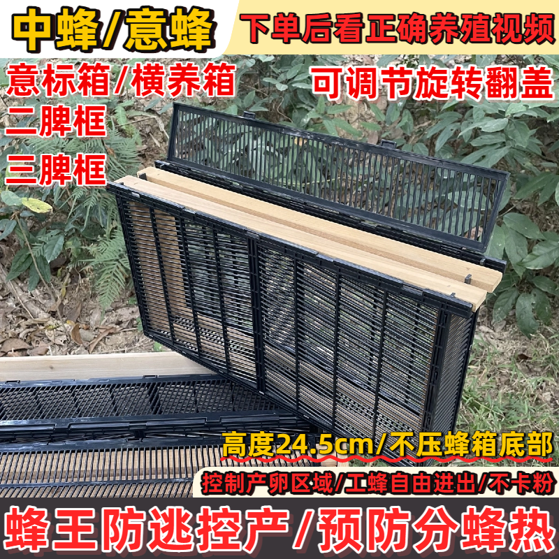 蜂箱养蜂王产卵控制器中蜂蜂王板王笼中蜂防逃片双框产子笼板标箱