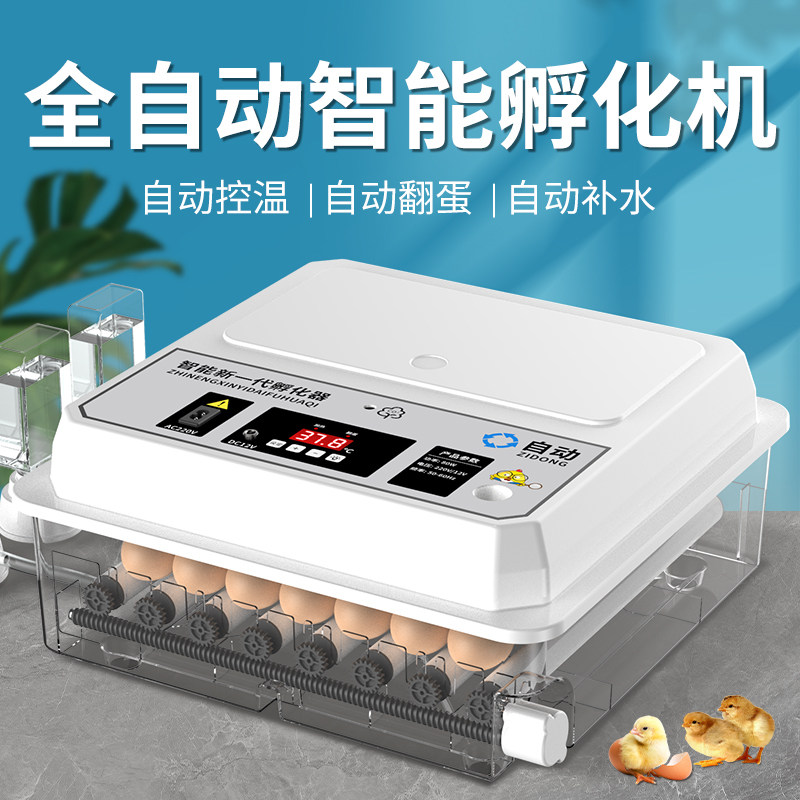 小鸡孵化器小型家用全自动智能孵蛋器孵化机鹦鹉鸟蛋芦丁鸡孵化箱
