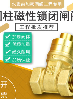 磁性锁闭闸阀水表前加密阀4分6分