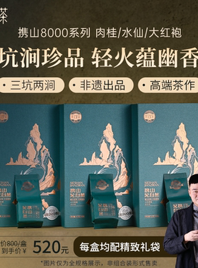 孝文家茶携山见自然8000水仙肉桂武夷岩茶大红袍乌龙茶叶6泡装