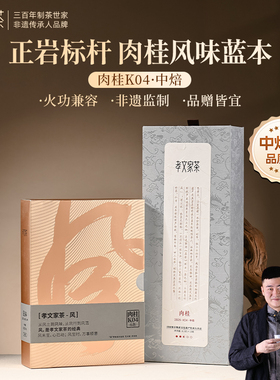 孝文家茶茗家会肉桂K04古早武夷岩茶乌龙茶叶书盒礼盒