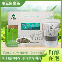 毛尖绿茶特级凌云白毫茶特级绿茶板栗香清爽新茶高档礼盒装送礼