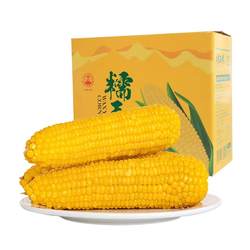 山西忻州糯玉米黑玉米甜糯礼盒装10根玉米皇后真空独立包装送礼