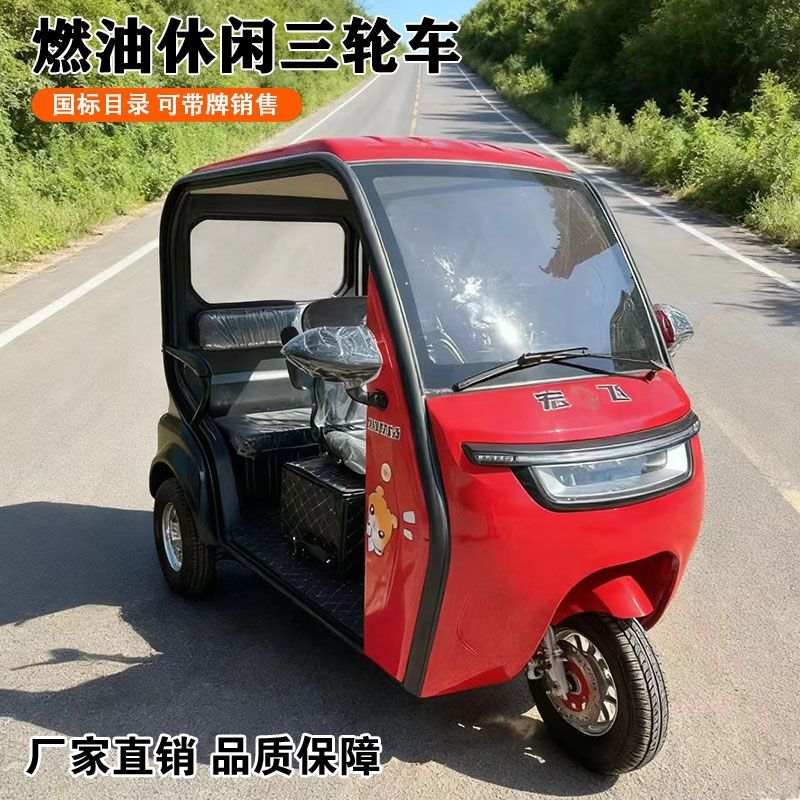 新款带棚国际燃油休闲接送孩子旅游代步家用三轮摩托车