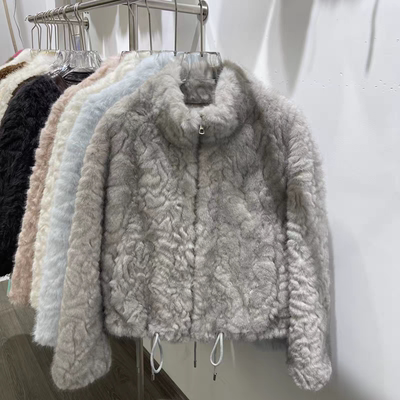 2025秋冬新款短款立领毛毛皮草外套洋气皮毛一体拉链羊羔毛上衣女