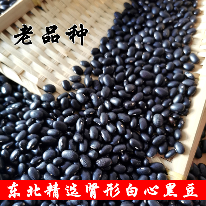 东北黑豆农家自产新饭豆