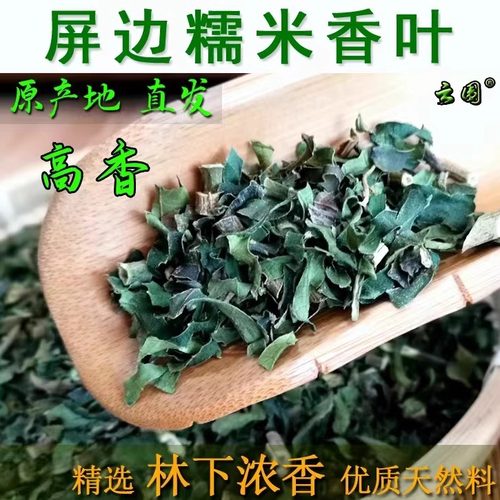 屏边 糯米香叶 散装250克 林下优质料糯香麒麟大口茶配料