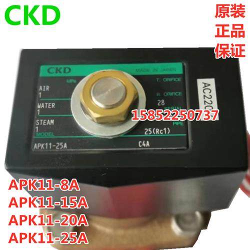 议价电磁阀蒸汽APK11-8A/10A/15A/20A/25A-C4A-C3A-C4N-AC220V - 实物图