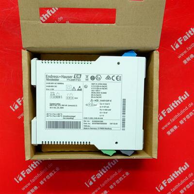 议价E+H FTL325P-F1E1 恩德斯豪斯全新音叉式物位变送器 Nivotest