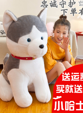 灰色pp棉哈士奇毛绒玩具儿童抱枕睡觉公仔可爱二哈小狗狗生日礼物