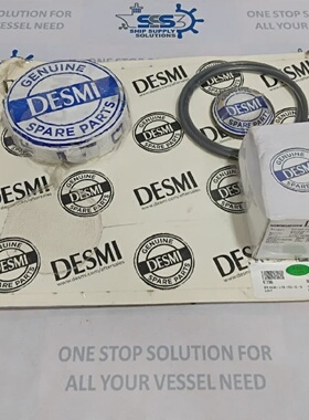 DesmiNSL801502150216泵维修套件677580