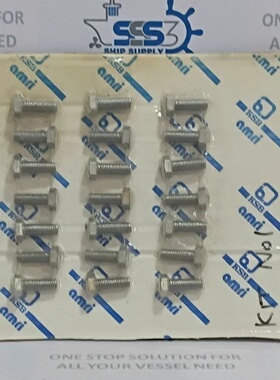 KSB Amri FL400 Stainless Steel Hex Bolts Screws Set 381.10.1