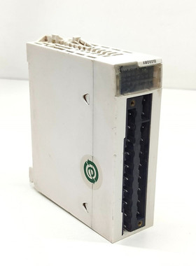 Schneider Electric Bmxam00210 Output Module (FREE SHIPPING)