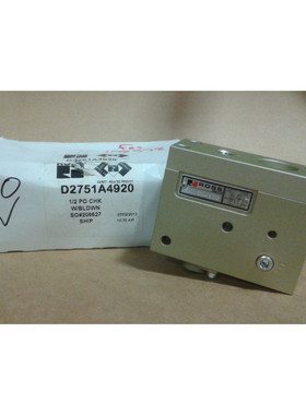 Válvula De Comprobación PO De 1/2 PULGADA ROSS D2751A4920