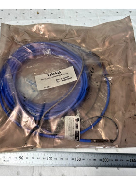 DITTMER 889590/800 6080 HAZ Area RTD Temperature Sensor / Ti