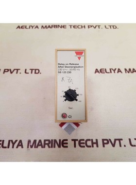 Carlo Gavazzi SB 125 230 Retraso En La Liberación