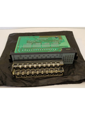 RELIANCE 电动 45C946 鲨鱼可编程控制器,16 通道 24VDC,NNB