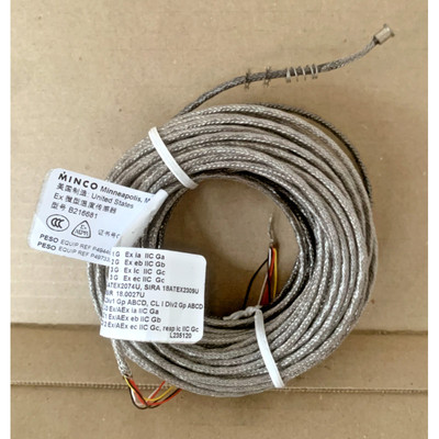 Minco B2166881 Model S721 Miniature Temperature Detector ATE