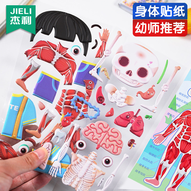 幼儿园认识我们的身体儿童3d立体书人体骨骼模型部位贴纸骨架结构仿真