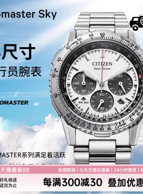 西铁城光动能机芯PROMASTER系列多功能不锈钢商务休闲男表CA4660