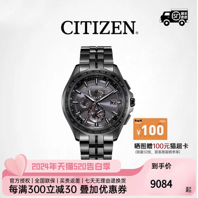 Citizen/西铁城专业自动校时男表