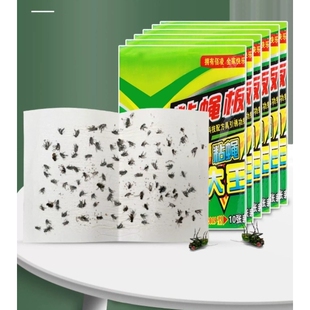 苍蝇贴粘蝇纸强力粘虫板贴片苍蝇药苍蝇拍灭蚊子捕苍蝇神器一扫光