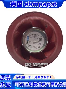 EBMPAPSTR1G133-AA17-0224V