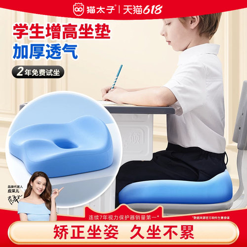 猫太子学生冰丝增高坐垫加厚透气