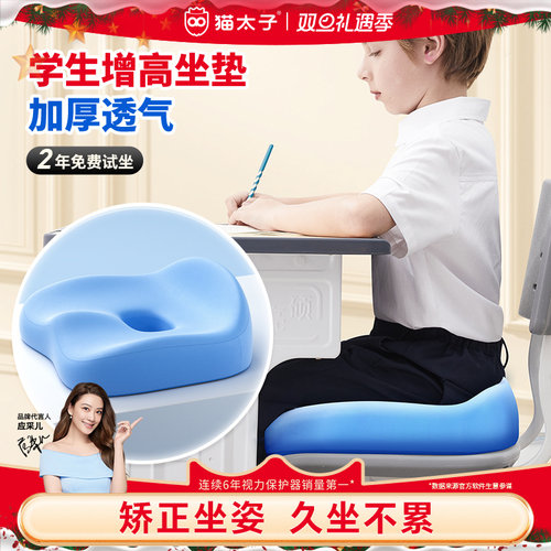 佳琦推荐学生增高坐垫人体工学